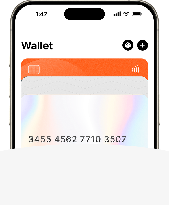 Apple Pay
